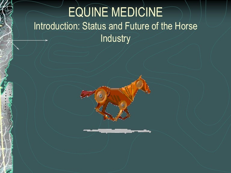 Introduction, Status & Future of the Horse Industry