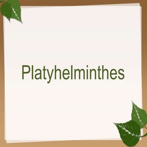 Platyhelminthes