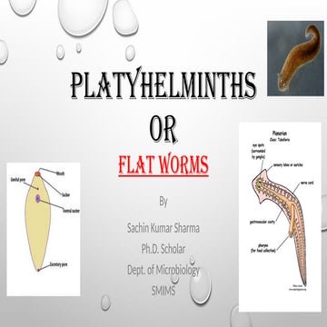 Platyhelminths- classification, morphology, life cycle and pathogenesis.pptx
