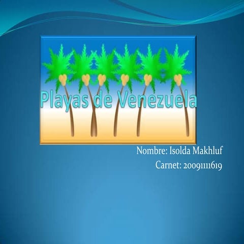 Playas De Venezuela