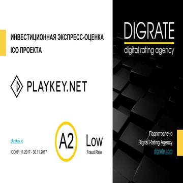 Playkey - отчет об инвестиционной привлекательности (Digital Rating ...