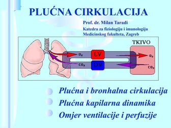 Plućna cirkulacija