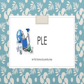 Que es un ple | PPTX