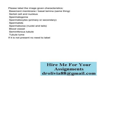 Please label the image given characteristics   Basement me.pdf