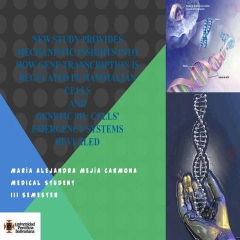 Intergenic segments | PPTX