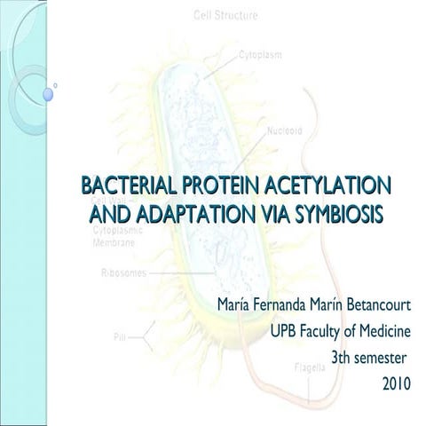 molecular biology folding