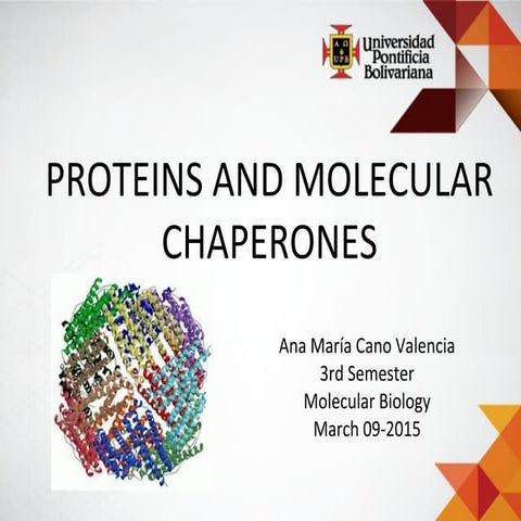 PROTEINS AND MOLECULAR CHAPERONES