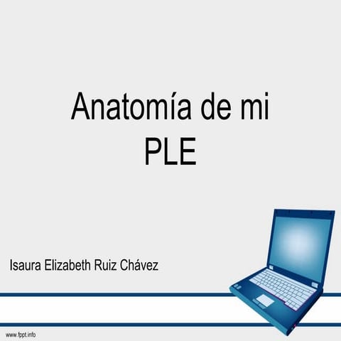 PLE