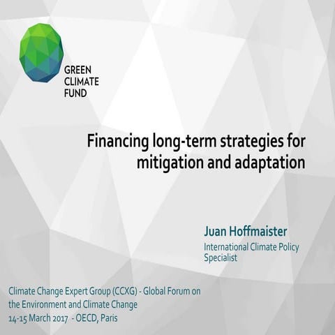 CCXG Global Forum March 2017 Financing Long-term strategies for mitigation an...