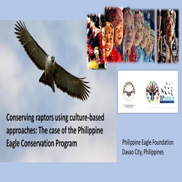 Culture-based Conservation Philippine Eagle Foundation | PDF