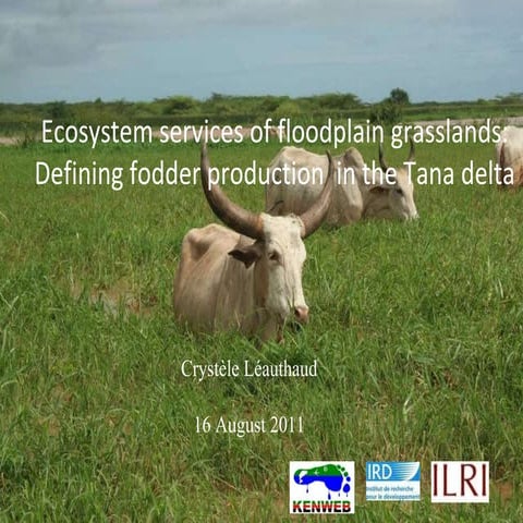 Ecosystem services of floodplain grasslands: Defining fodder production  in t...