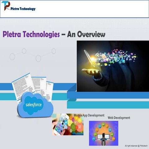 Pletra company-overview v1.3