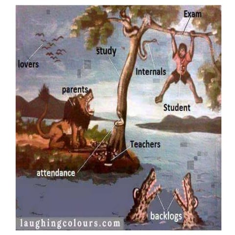 Pleura and its recesses