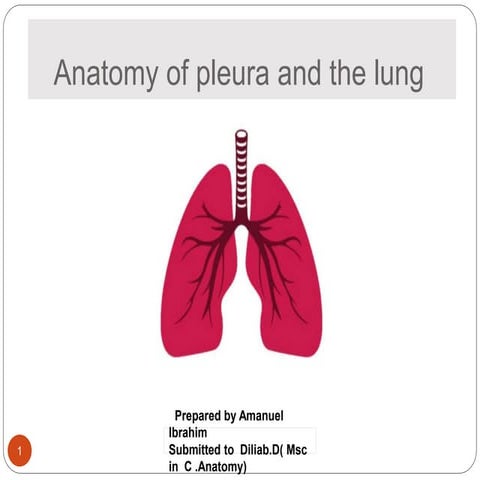 Pleura$lung ppt.pptx assignment of anatomy