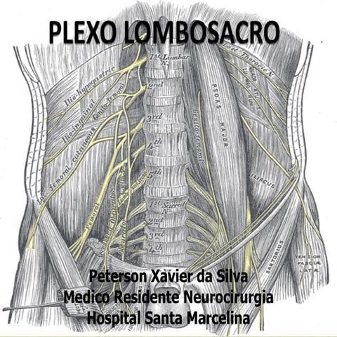 Plexo Lombar