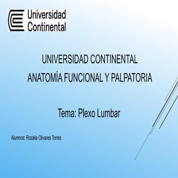 El plexo lumbar es una red de nervios formada por las ramas anteriores de los...