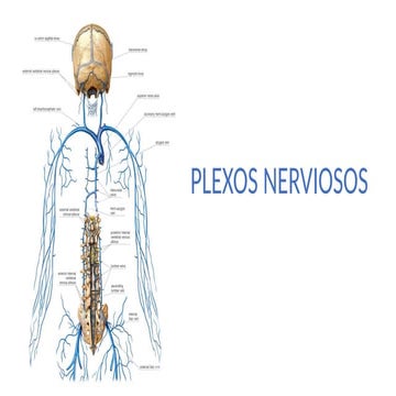 PLEXOS................................... | PPTX