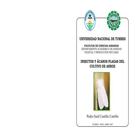Plagas de arroz