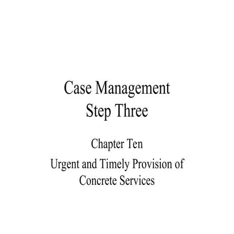 Plionis_PP10.pptx. case_ management_ process