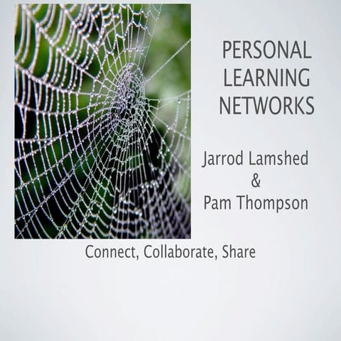 Developing a PLN