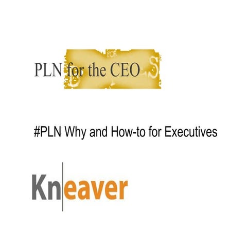 Pln for the ceo