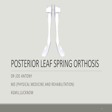Posterior leaf spring orthosis