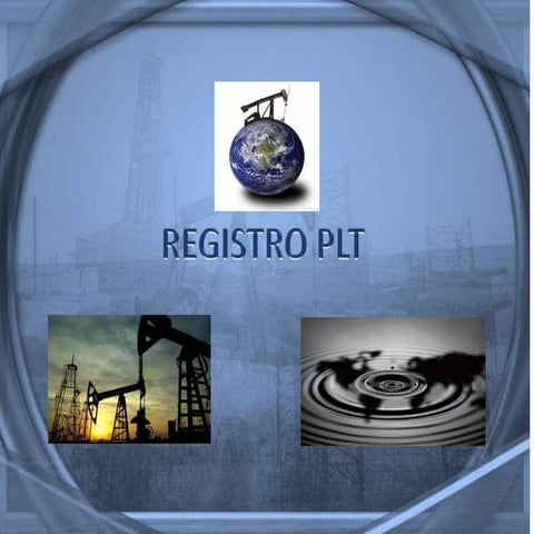 Registro de Producción (PLT)