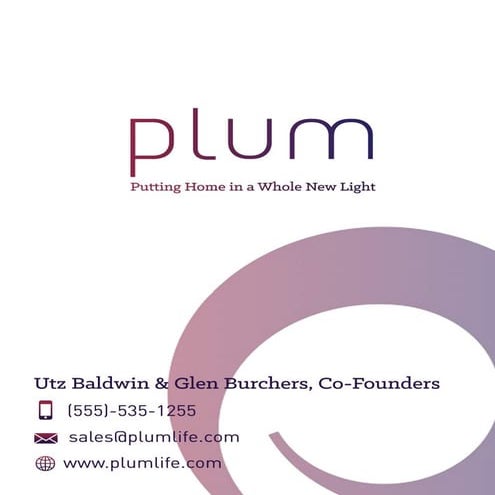 Plum sample-business-plan.compressed (2)-2