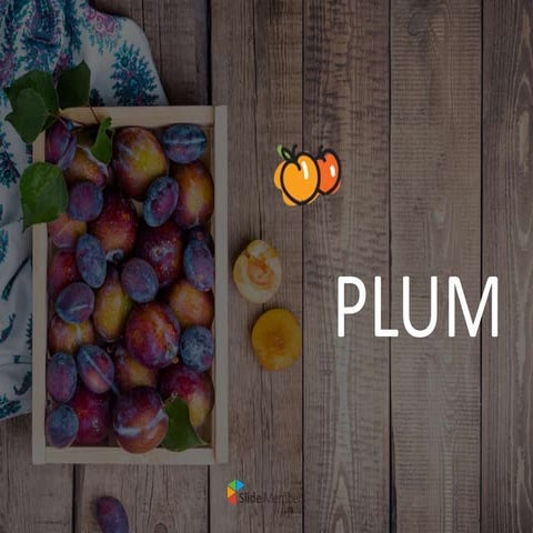 Plum FSC 202.pptx