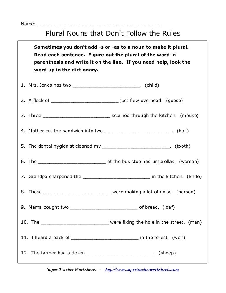 Worksheets Worksheet On Nouns Numbers Sentences plural noun worksheet number 3