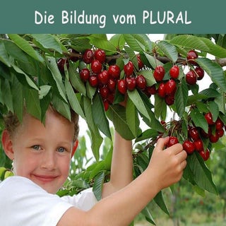 Singular und Plural - Pluralbildung...