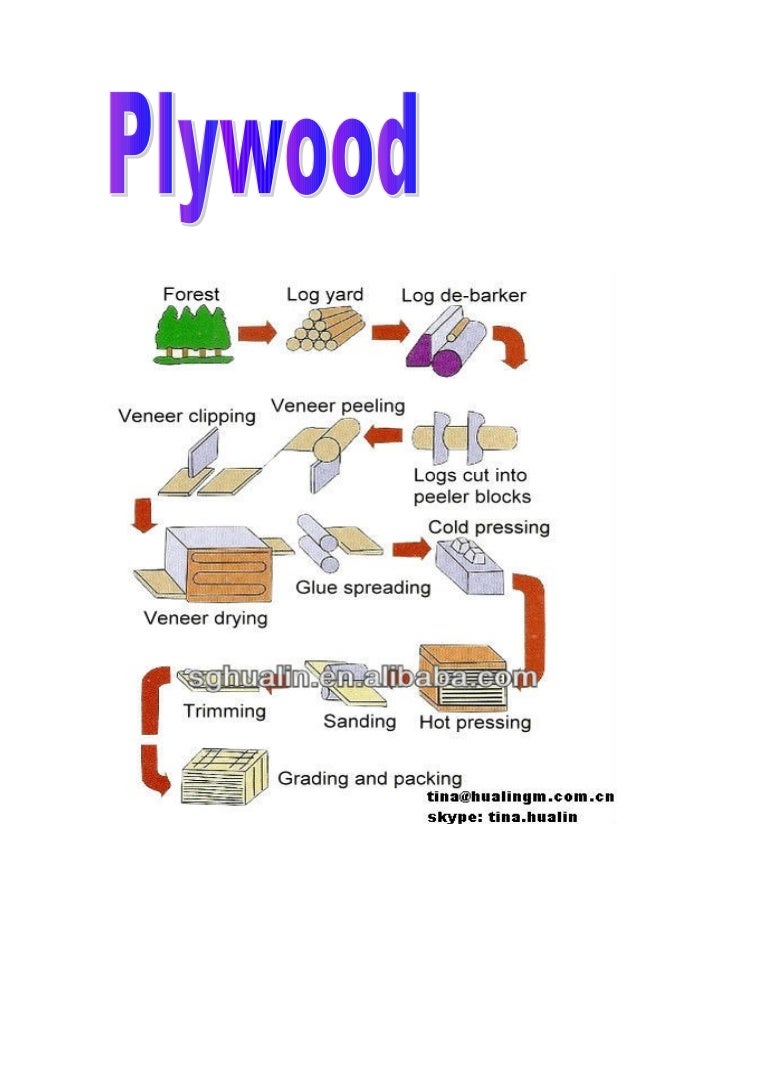 process of Plywood