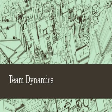 PM-208-Report-Team-Dynamics.pptx