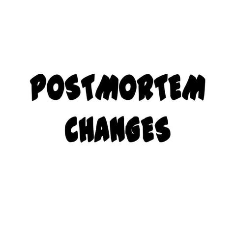 P Changes  Mresentation