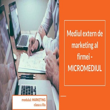 Mediul extern de marketing al firmei - micromediul