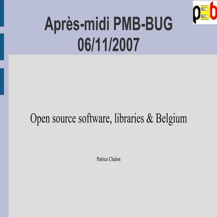 Pmb Bug 2007 11 06 Patrice