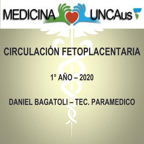 14. circulacion fetoplacentaria