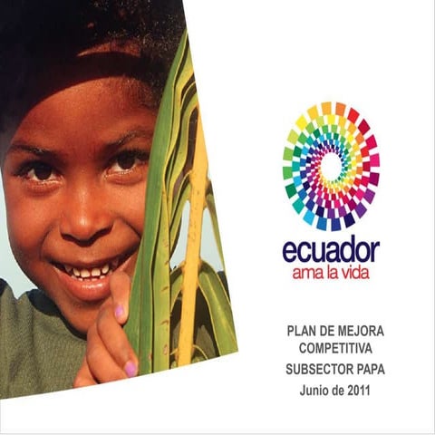 Plan de Mejora Competitiva Papa