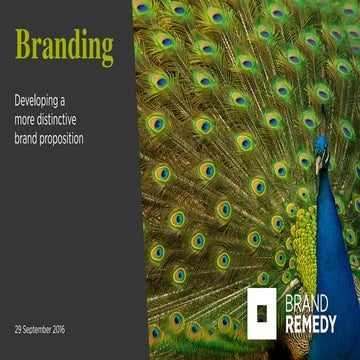 Developing a more distinctive brand proposition