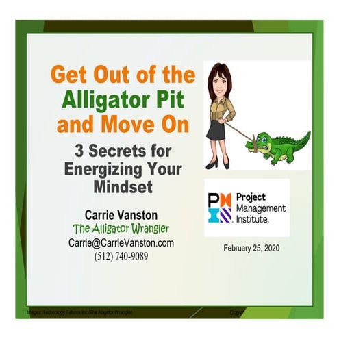 Carrie Vanston - PMI Slides - Get Out fo the Alligator Pit: 3 Secrets for Energizing Your Mindset