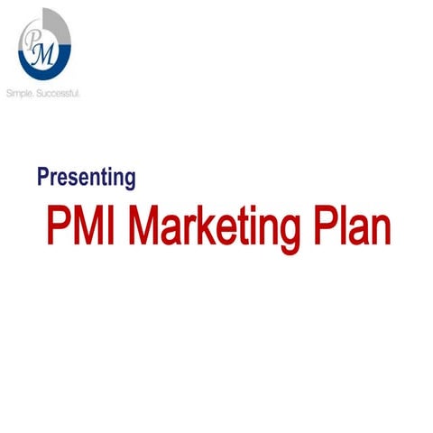 PMI Marketing Plan