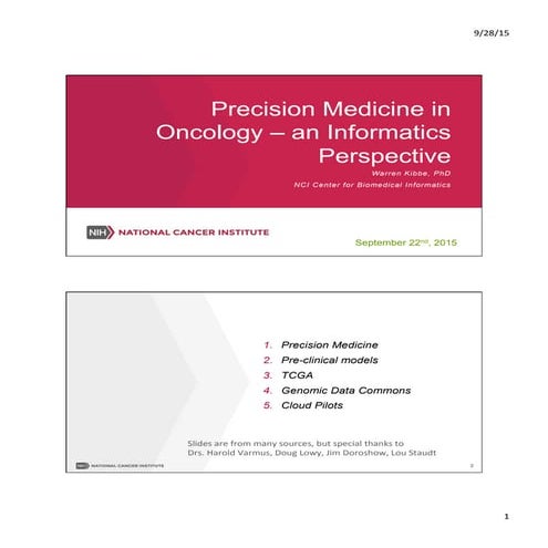 Precision Medicine in Oncology Informatics