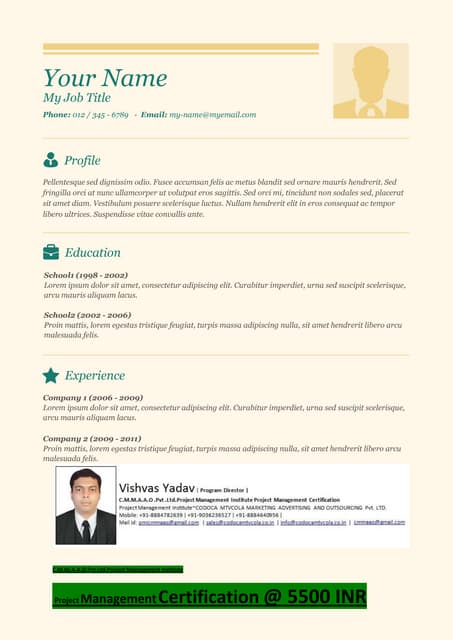 Pmi pmbok-resume template-18