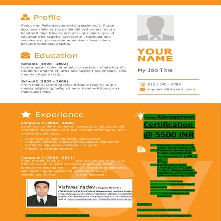 Pmi pmbok-resume template-19