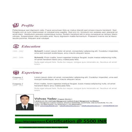 Pmi pmbok-resume template-4