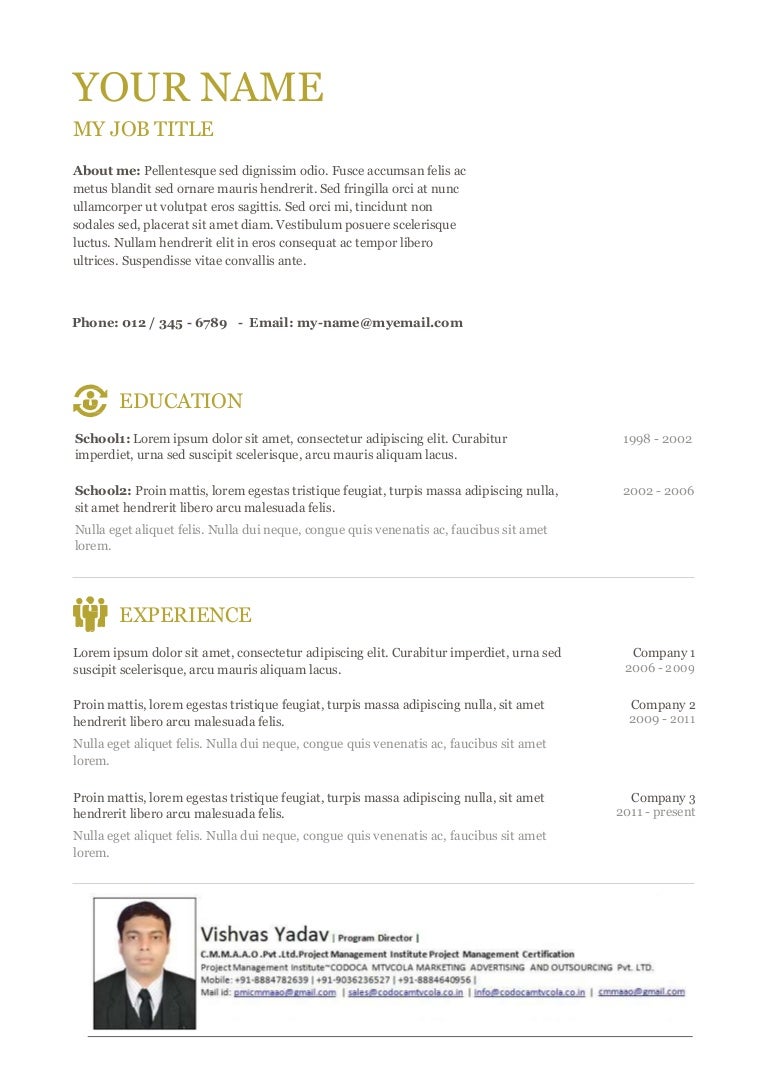 pmi pmp resume template 12 pmp resume