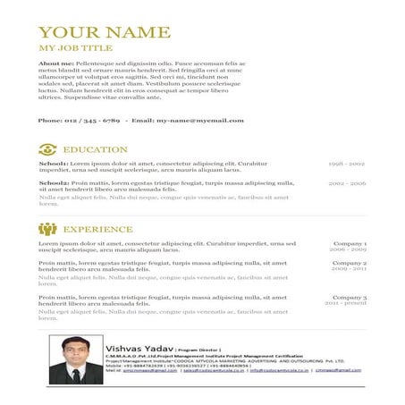 Pmi pmp-resume template-12