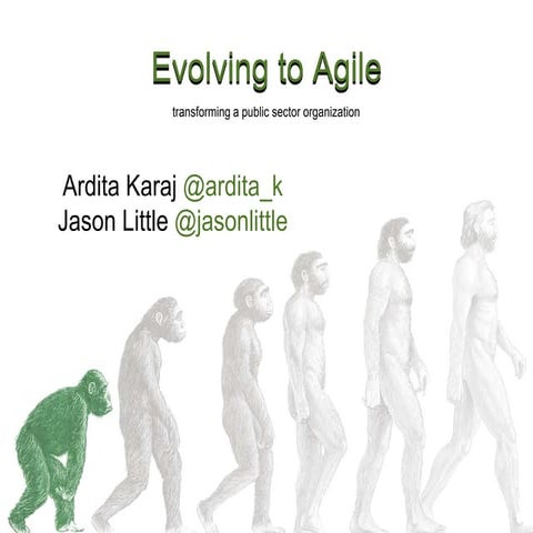 From Stoneage to Aagile