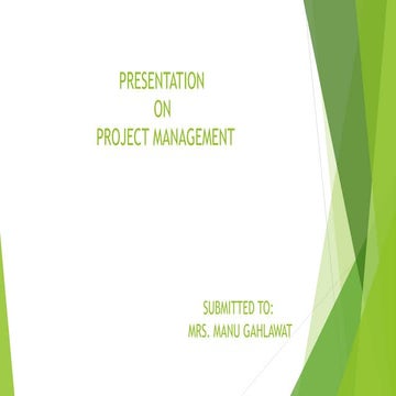 Project management