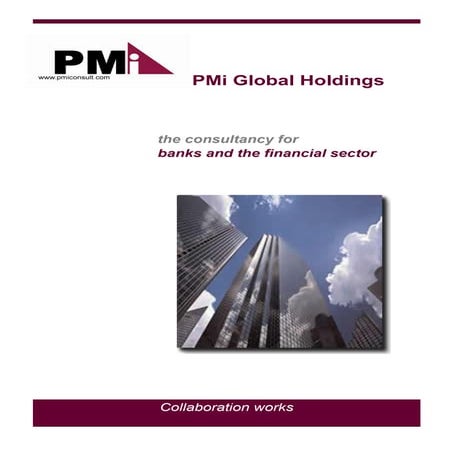 P Mi Global Holdings
